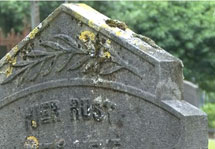 plaatje: Kosten graf rond � 10,- per maand