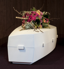 plaatje: Stijlvolle en honderd procent ecologische �biokist� gepresenteerd