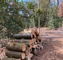 plaatje: Officiële start werkzaamheden aanleg natuurbegraafplaats Noorderbegraafplaats Hilversum